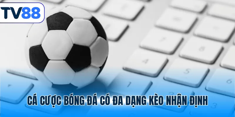 Cá cược bóng đá có đa dạng kèo nhận định