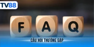 câu hỏi thường gặp tại tv88