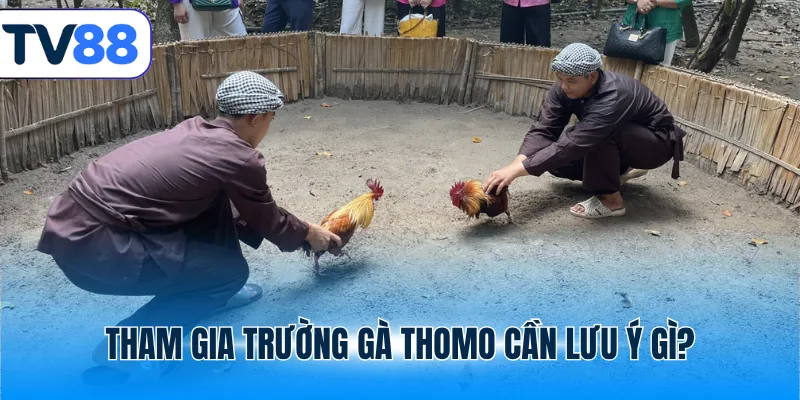 Tham gia trường gà Thomo cần lưu ý gì?